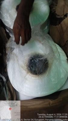 Water Affected stock of Polyester FDY Yarn